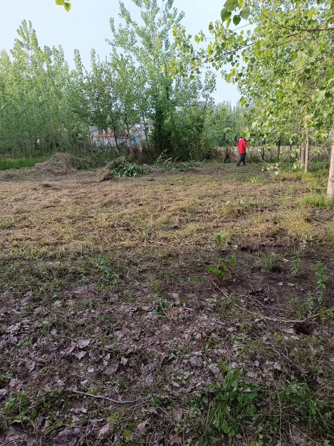 زمین /کاربری مسکونی/گیلان/دنج/نزدیک زیبا کنار|فروش زمین و ملک کلنگی|آستانه اشرفیه, |دیوار