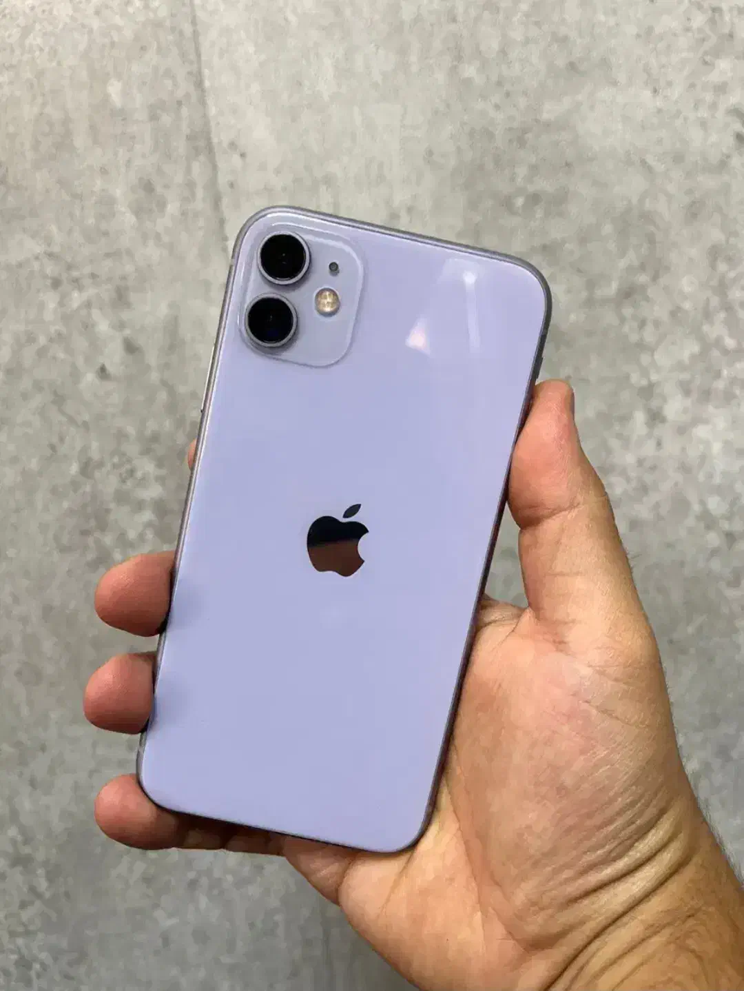 ایفون 13|موبایل|نور, |دیوار