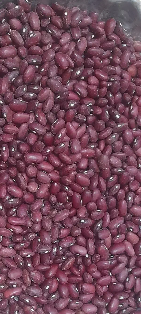 لوبیا قرمز یاقوتی با لوبیا چیتی|خوردنی و آشامیدنی|شیدا, |دیوار