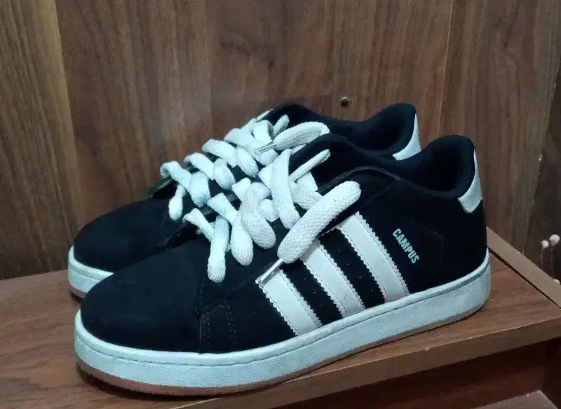 کتونی آدیداس|کیف، کفش، کمربند|محمدیه-قزوین, |دیوار