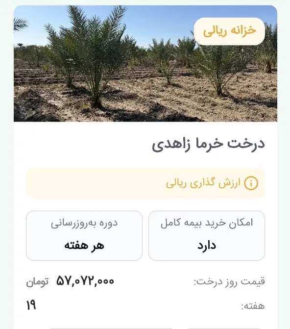 فرصت سرمایه گذاری . سایت باغ بازار|استخدام مالی، حسابداری، حقوقی|تهران, نیروی هوایی (پیروزی)|دیوار