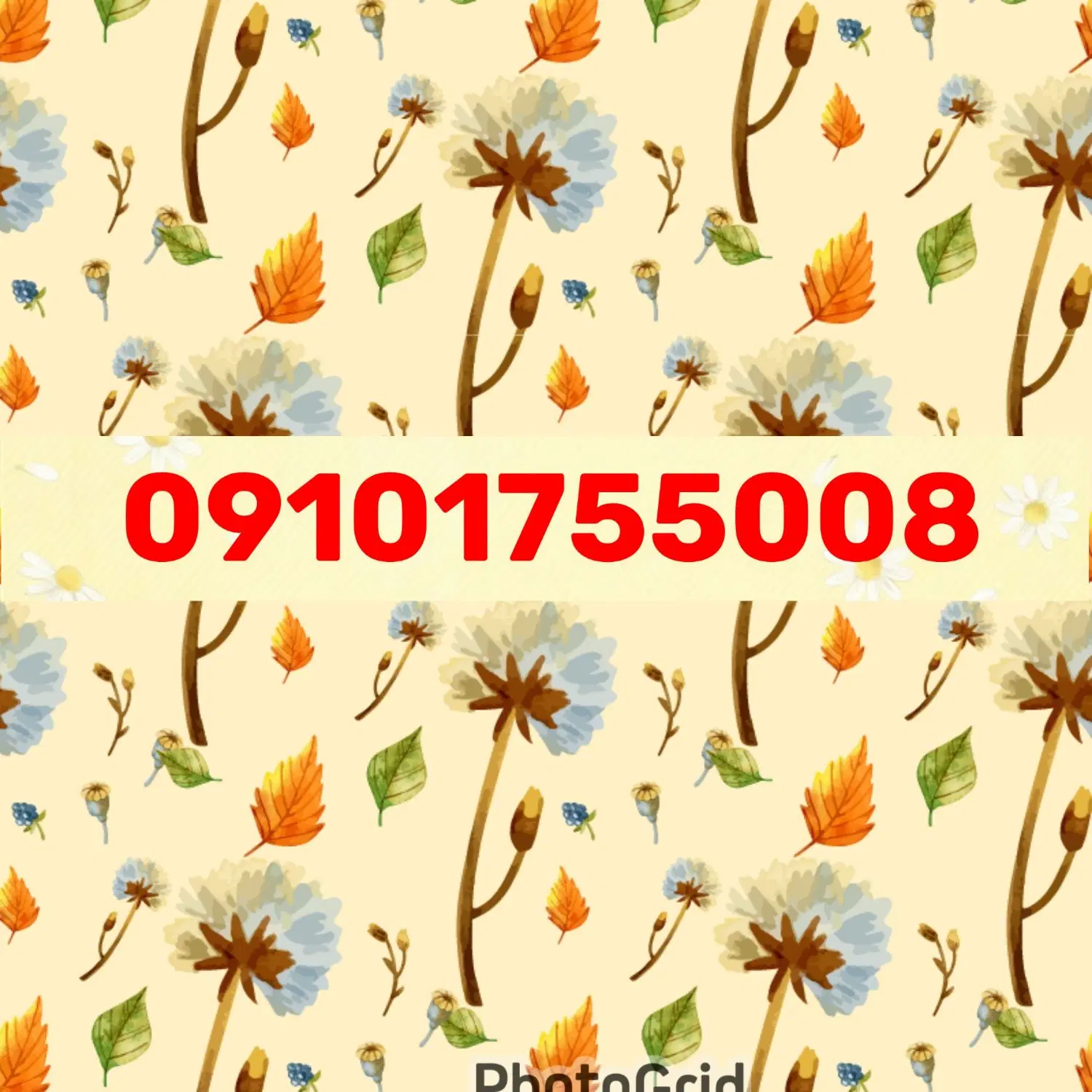 09101755008|سیم‌کارت|گرگان, |دیوار