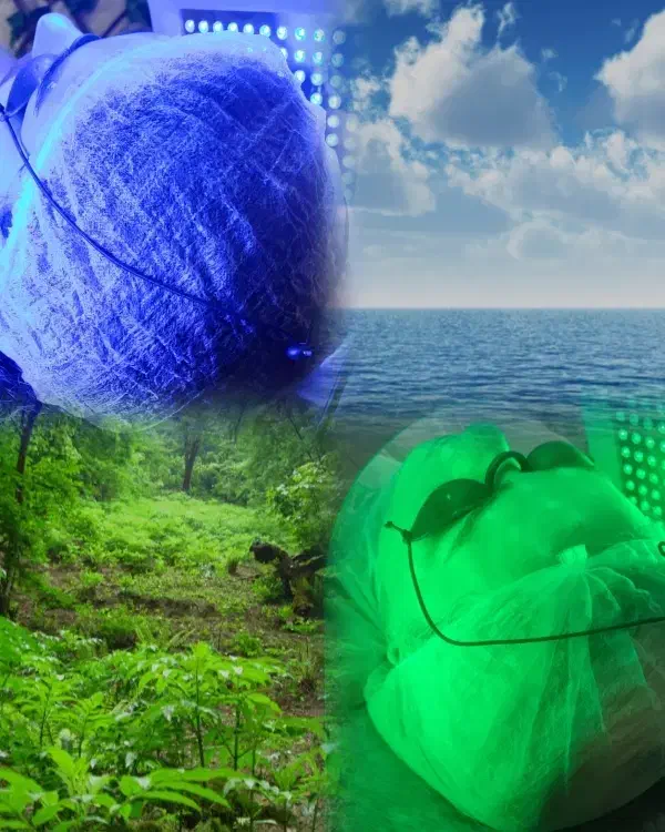 آموزش پاکسازی پوست (تخفیف ویژه )|خدمات آموزشی|رشت, معلم|دیوار