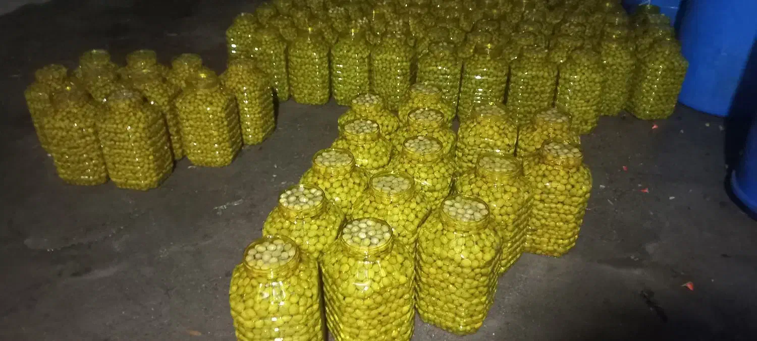 پخش عمده زیتون|عمده‌فروشی|رودبار, |دیوار