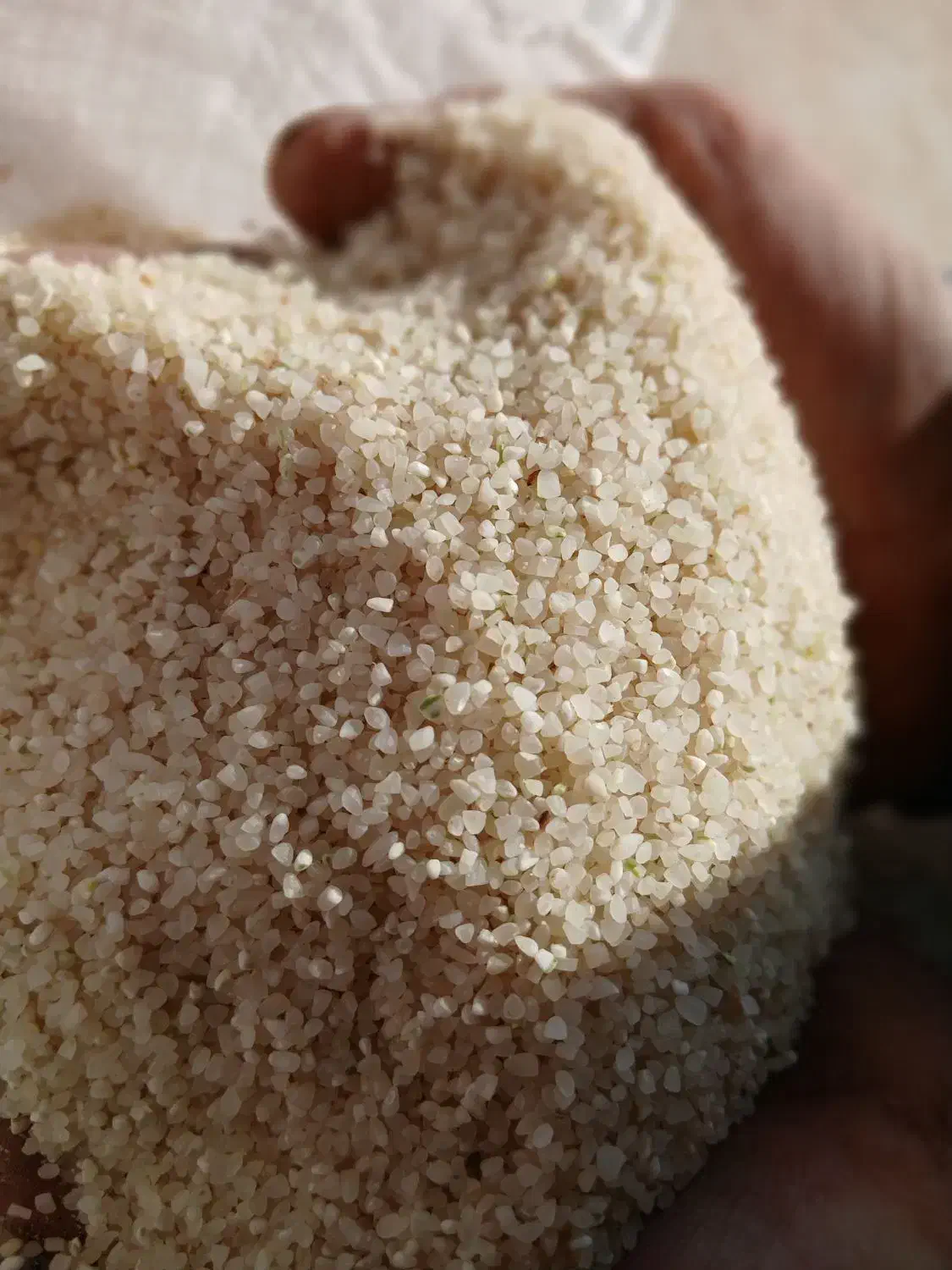 خرده برنج ریز کامفیروزی اصل سورت شده کیسه ۲۰کیلو|خوردنی و آشامیدنی|بانش, |دیوار