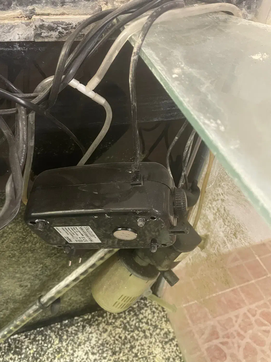 آکواریوم ماهی بزرگ و جا دار|ماهی|بروجن, |دیوار