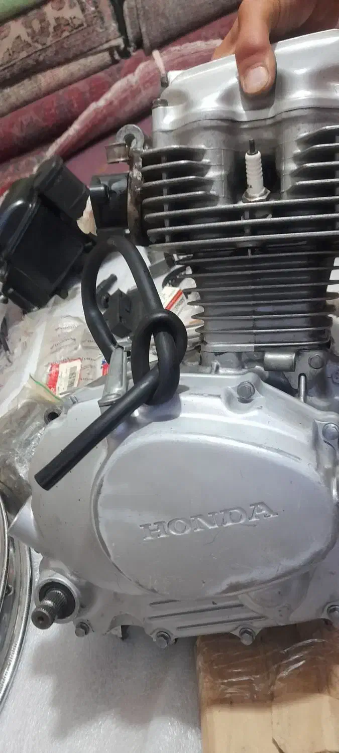 لوازم ژاپنی|قطعات یدکی و لوازم جانبی|قم, چهل درخت|دیوار