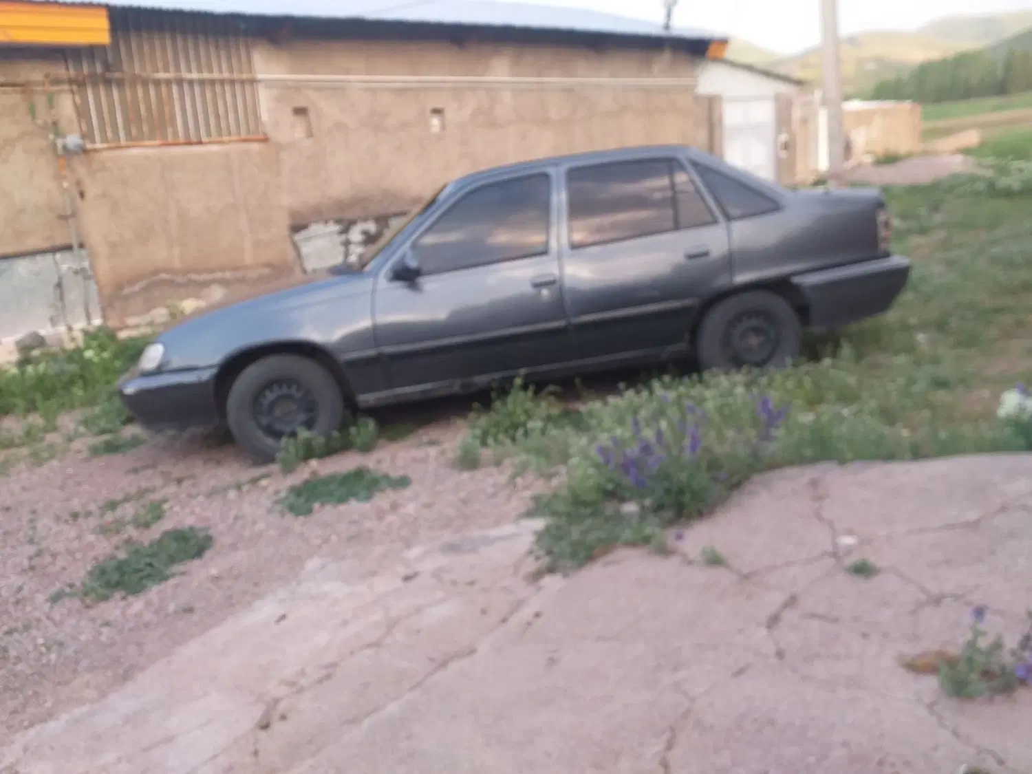 دووسیلو|خودرو کلاسیک|نیر (اردبیل), |دیوار