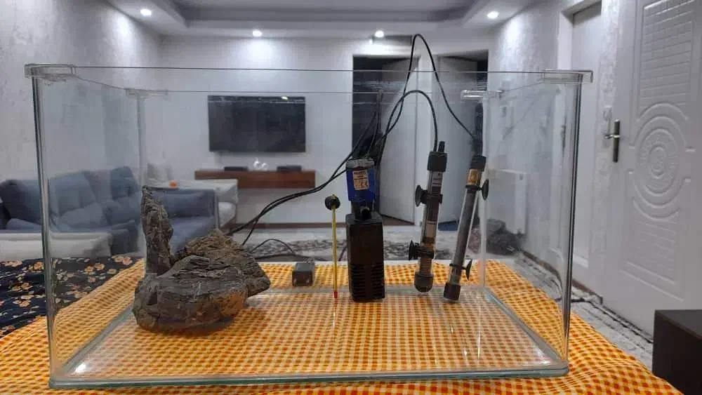 اکواریوم شیشه خم شرکتی|ماهی|تهران, جوادیه تهرانپارس|دیوار