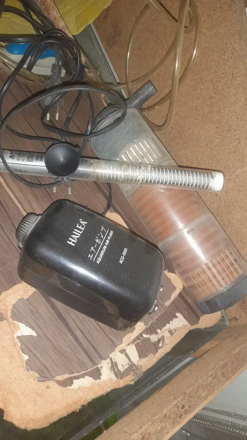 آکواریوم|ماهی|کرج, شهرک شیخ سعدی|دیوار