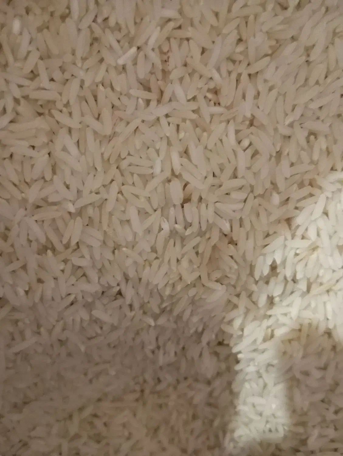 برنج طارم هاشمی|خوردنی و آشامیدنی|سیمین شهر, |دیوار