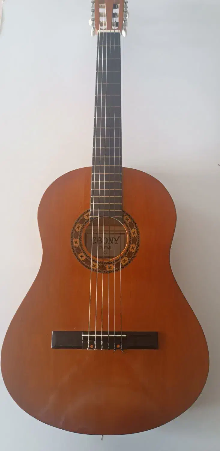 گیتار ebony C-2|گیتار، بیس، امپلیفایر|تهران, تجریش|دیوار