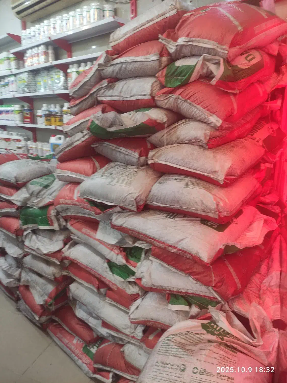 اسید هومیک گرانول ،چالکود،زمستانه|گل و گیاه طبیعی|قم, تکیه آقا سید حسنی|دیوار