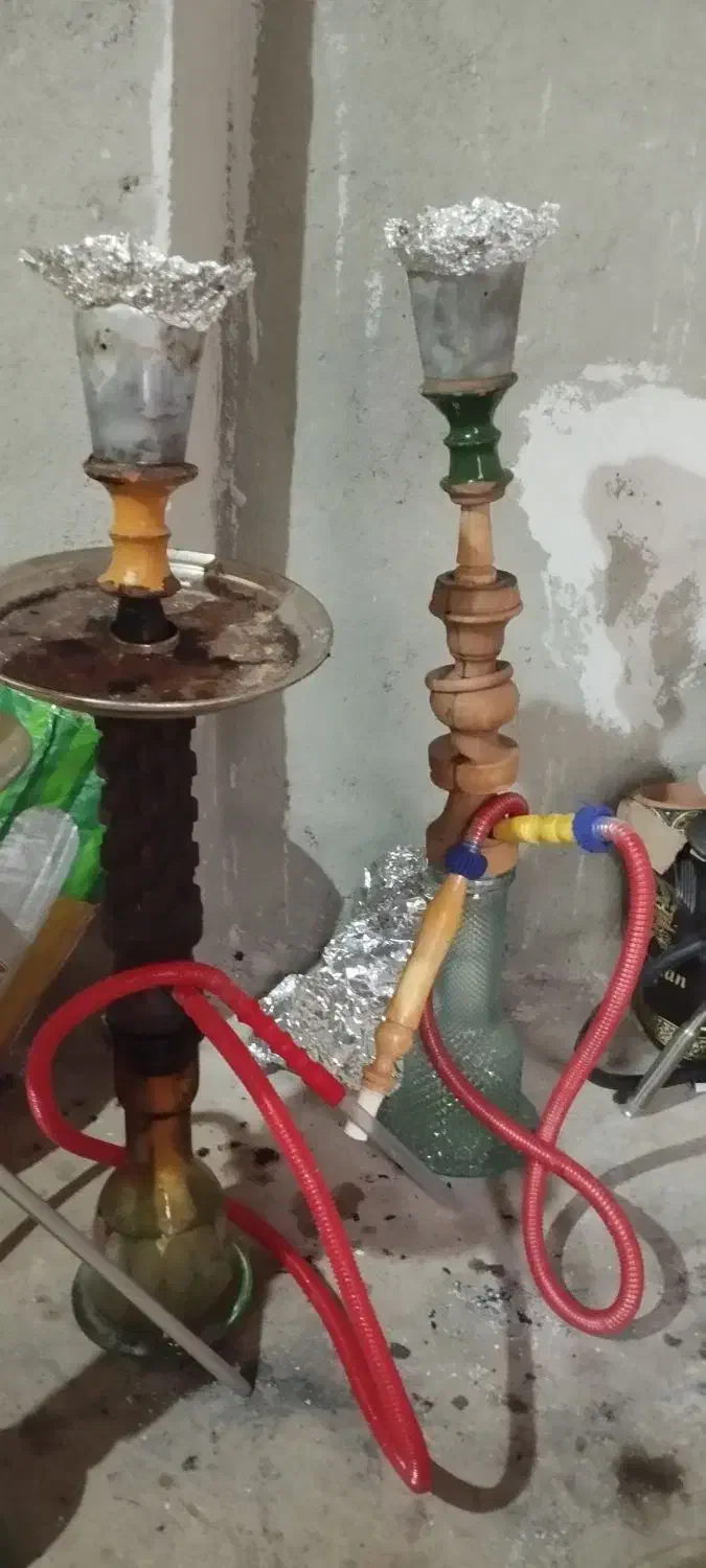 معاوضه با کبوتر|کلکسیون و سرگرمی|شاهین دژ, |دیوار