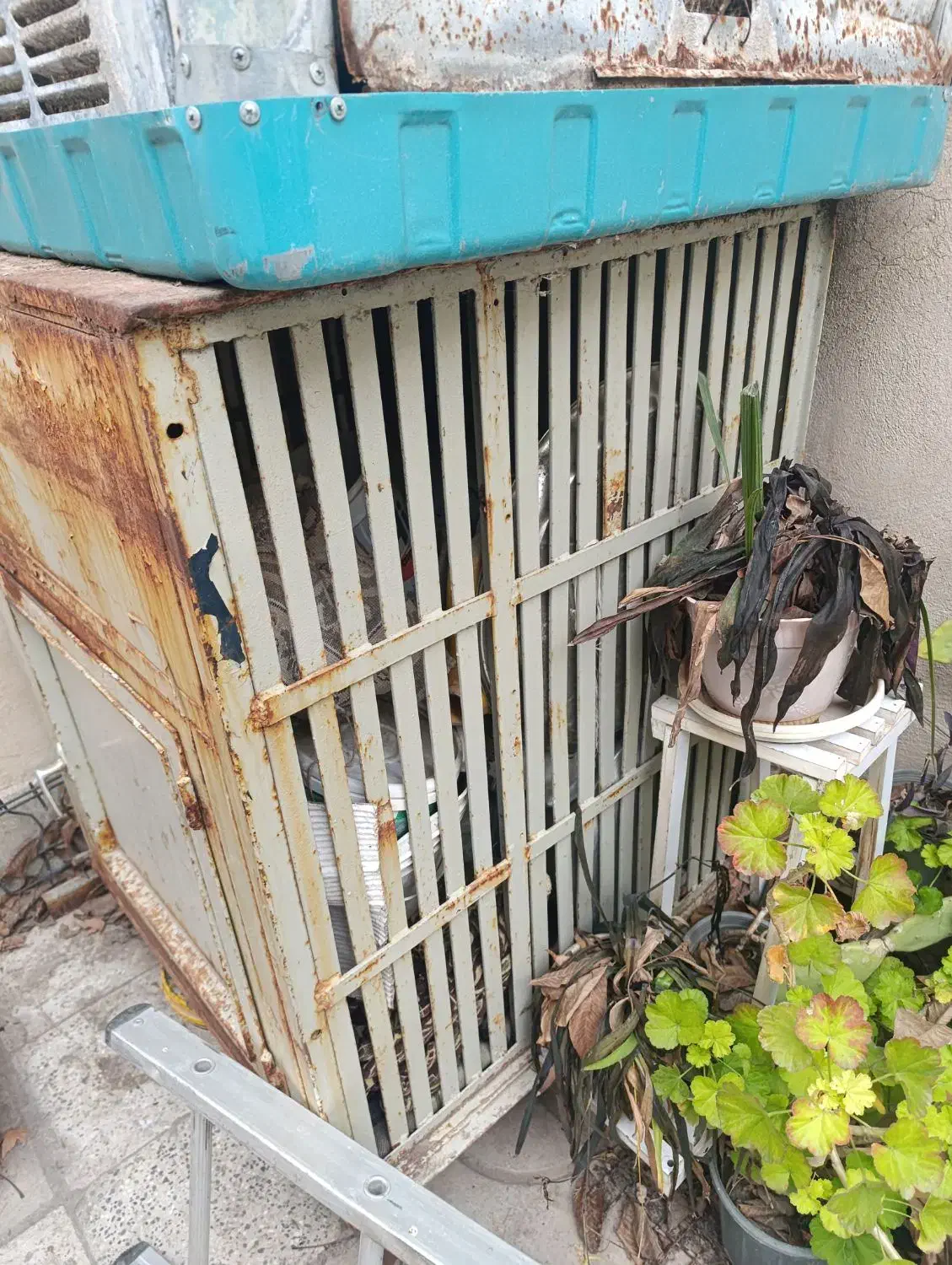 گنجه کبوتر|لوازم جانبی حیوانات|شیراز, شهرک قمشه|دیوار