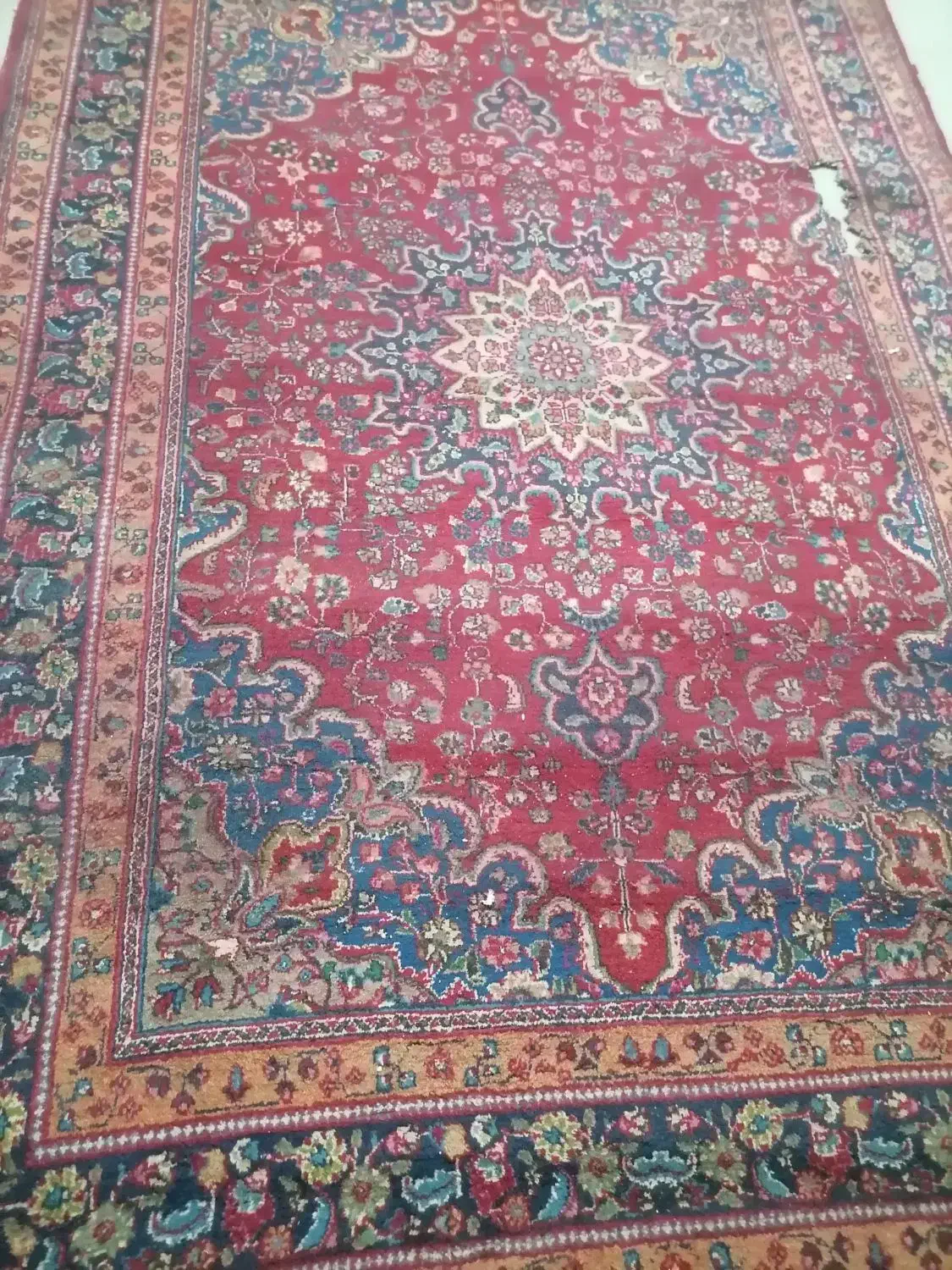 فرش دست بافت 6 متری|فرش|مشهد, خواجه ربیع|دیوار