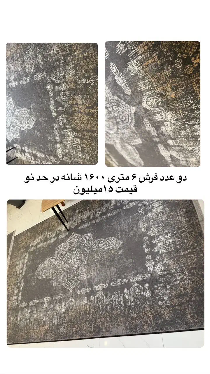 فرش ۱۶۰۰ شانه|فرش|بابل, |دیوار