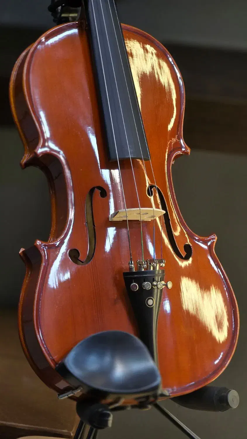 ویولن ریچارد بونل مدل RB101 سایز 4/4 با ضمانت|ویولن|پردیس, فاز ۲|دیوار