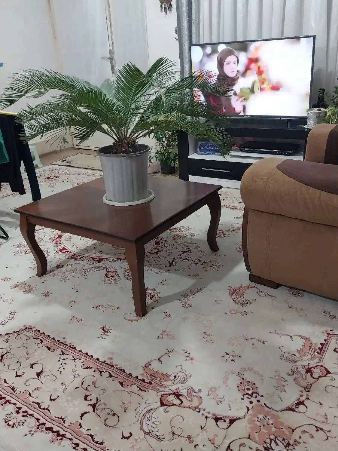 گل سیکاس|گل و گیاه طبیعی|شیروان (خراسان), |دیوار