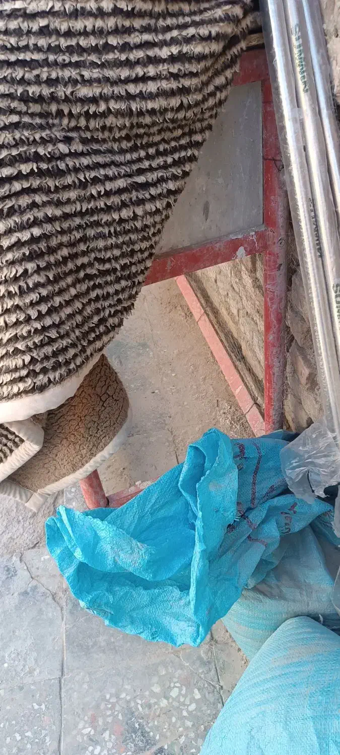 قفس|لوازم جانبی حیوانات|سراوان, |دیوار