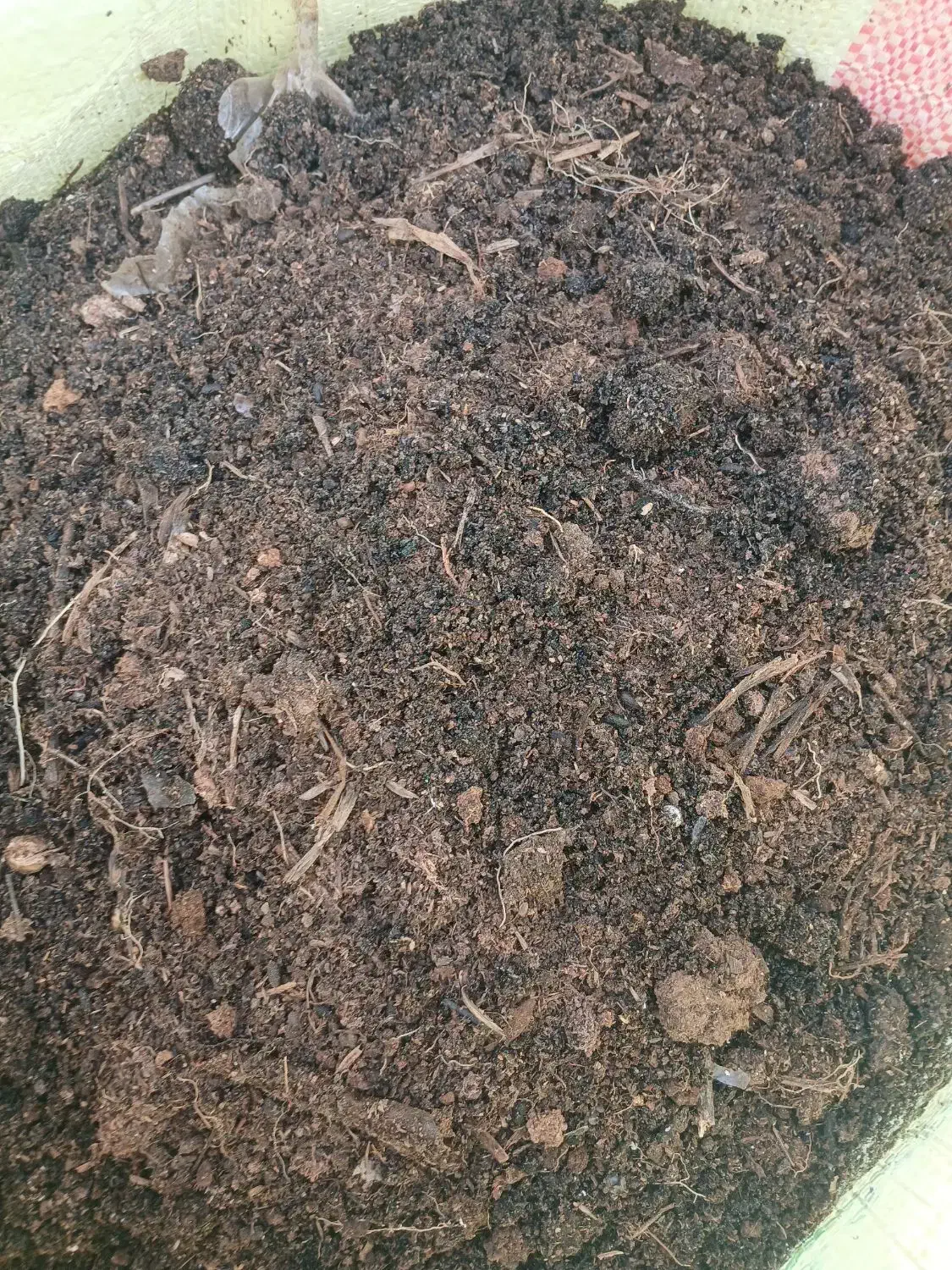 کود حیوانی|خدمات باغبانی و درختکاری|رشت, حومه رشت|دیوار