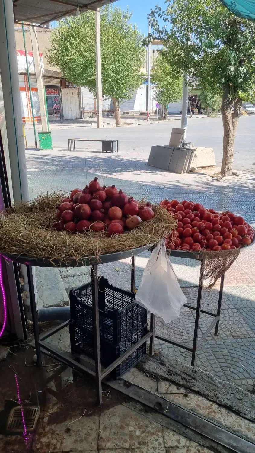 وسایل و تجهیزات میوه فروشی|فروشگاه و مغازه|فیروزآباد (فارس), |دیوار