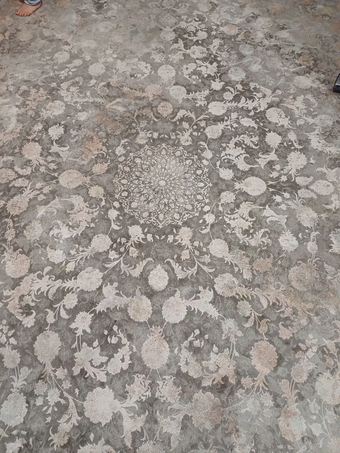 فرش ابریشمی|فرش|ساری, |دیوار