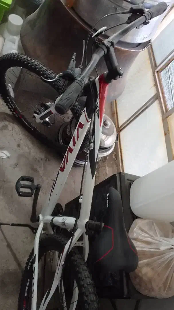 دوچرخه ویوا سایز 29|دوچرخه، اسکیت، اسکوتر|یزد, |دیوار