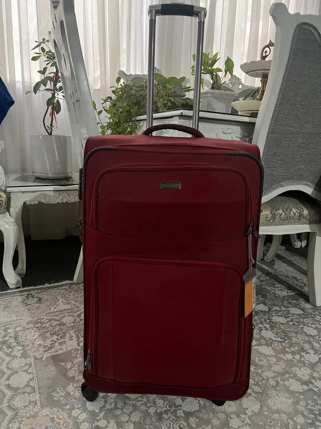 چمدان نو|کیف، کفش، کمربند|اراک, |دیوار