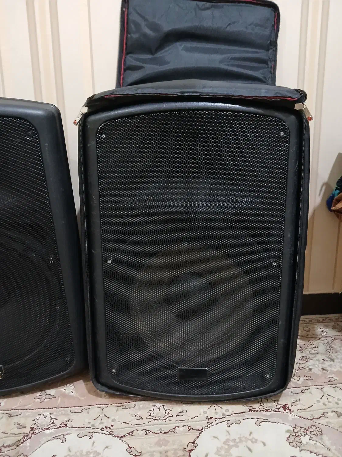 باند اکتیو|سیستم صوتی خانگی|دیلم, |دیوار