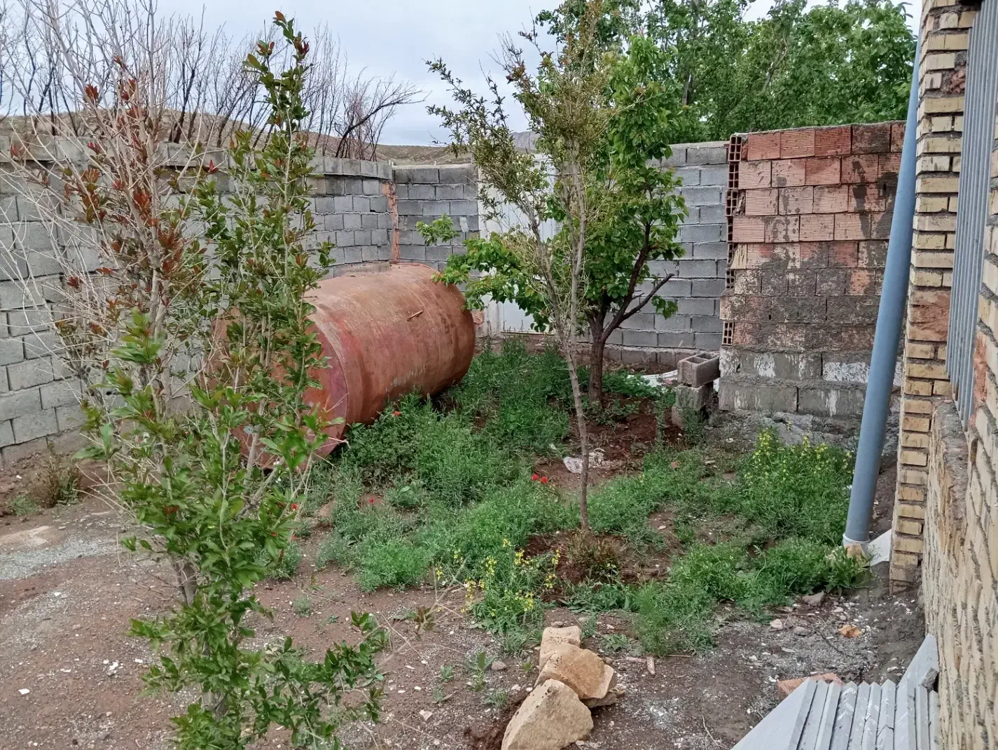 ویلاباغ درروستای حسن آباد5کیلوکتر بعدطبس|فروش خانه و ویلا|نوده انقلاب, |دیوار