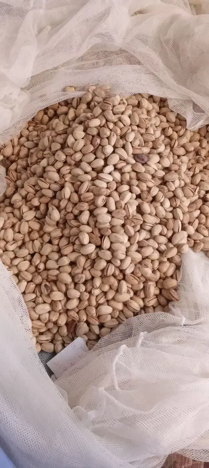 پسته|خوردنی و آشامیدنی|بمپور, |دیوار