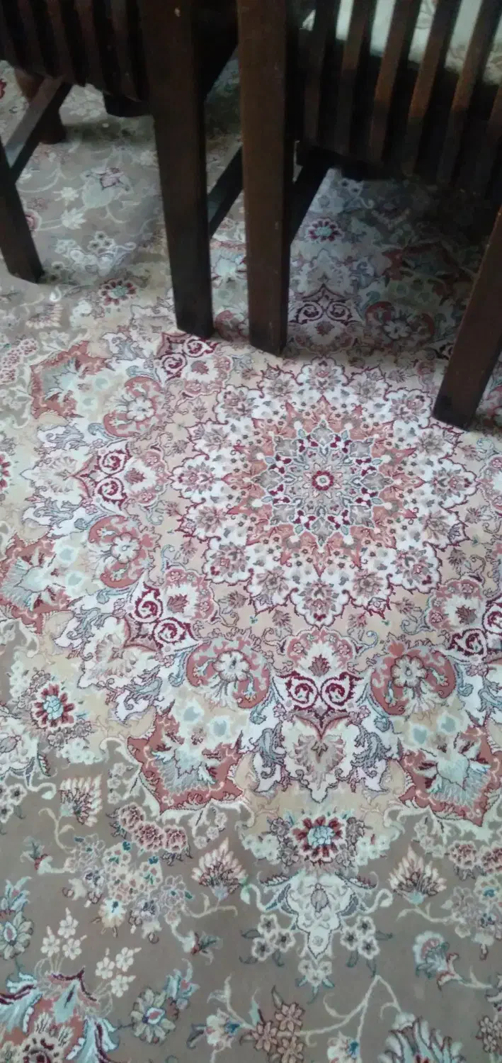 فرش مشهد|فرش|مشهد, رضاشهر|دیوار