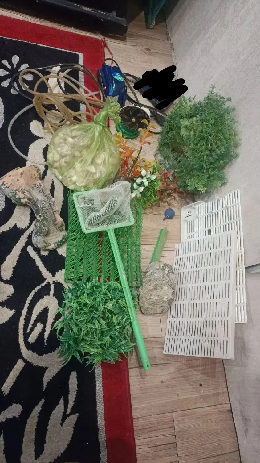 اکواریوم|ماهی|مشهد, تلگرد|دیوار