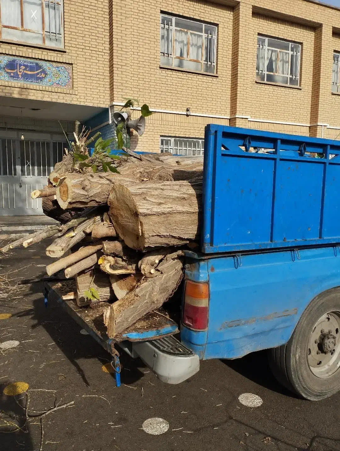 خرید انواع چوب در محل|خدمات باغبانی و درختکاری|ارومیه, |دیوار