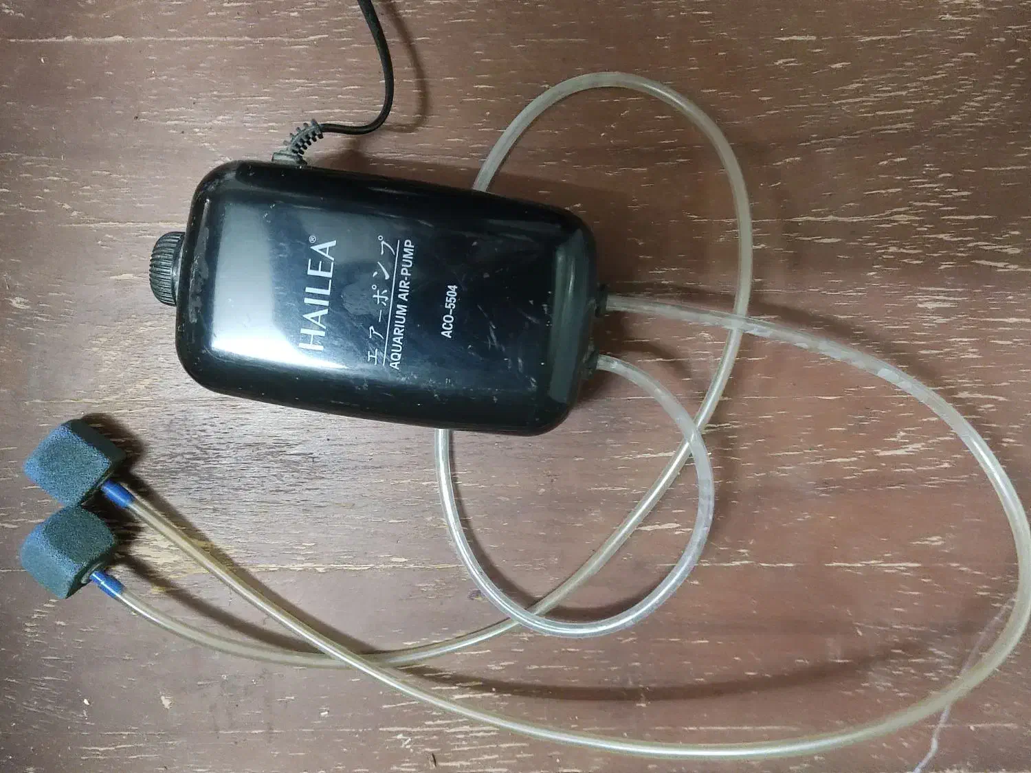 آکواریوم|ماهی|اردکان, |دیوار