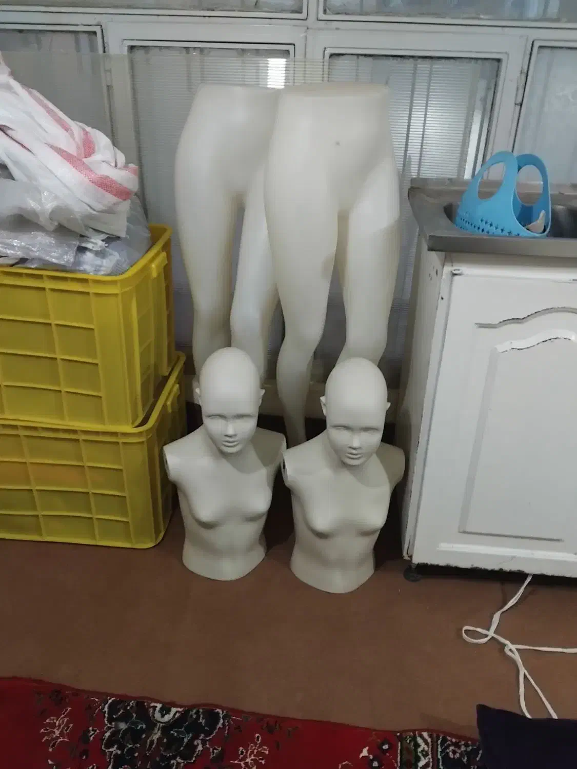 رگال و مانکن|فروشگاه و مغازه|زنجان, |دیوار