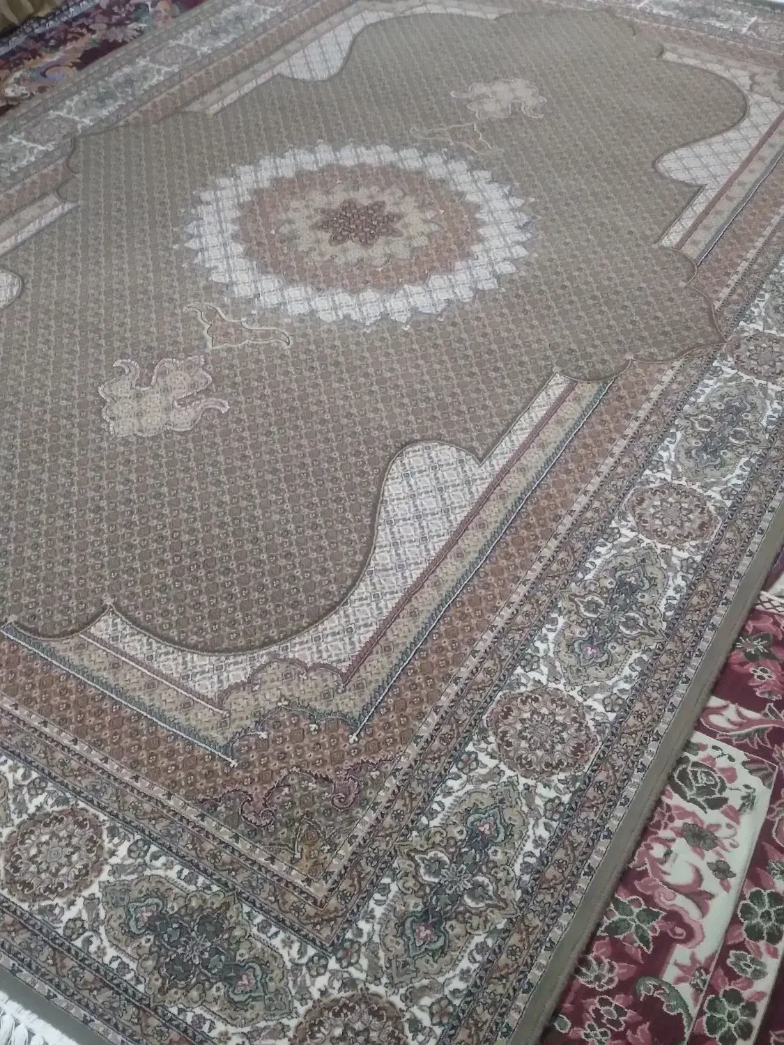 ۴عدد۶متریدرحدنوهستن|فرش|اردبیل, |دیوار