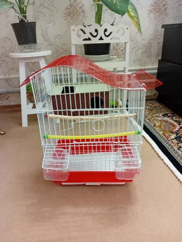 قفس فنج|لوازم جانبی حیوانات|نسیمشهر, |دیوار