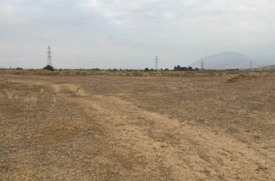 املاک زمین زراعی|فروش دفتر صنعتی، کشاورزی، تجاری|مینودشت, |دیوار