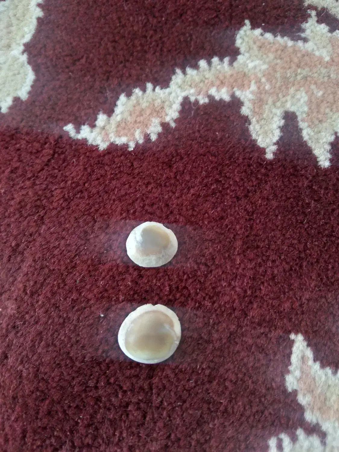 مهره ما|جواهرات|کنگاور, |دیوار