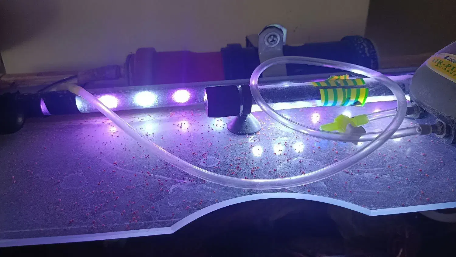 آکواریوم با لوازم|ماهی|پردیس, فاز ۸|دیوار