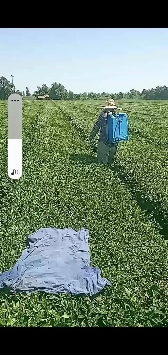 سمپاشی علفهای هرز باغات با دستگاه اتوماتیک برقی|خدمات باغبانی و درختکاری|فومن, |دیوار