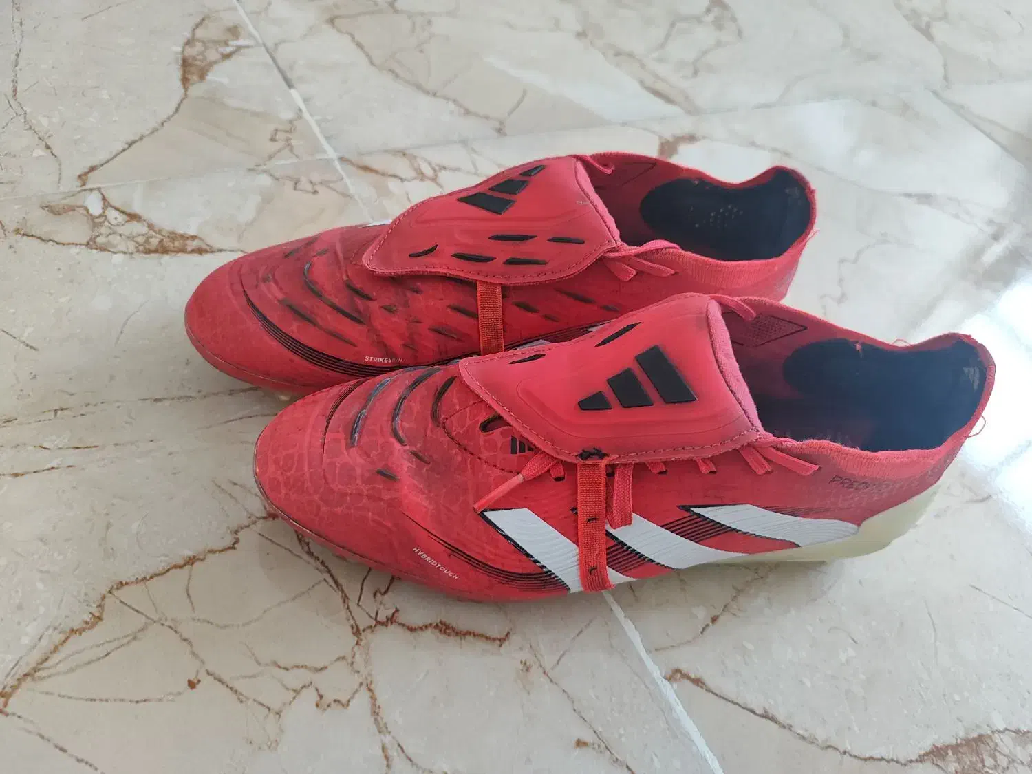 استوک پرداتور بلینگام|کیف، کفش، کمربند|نقده, |دیوار