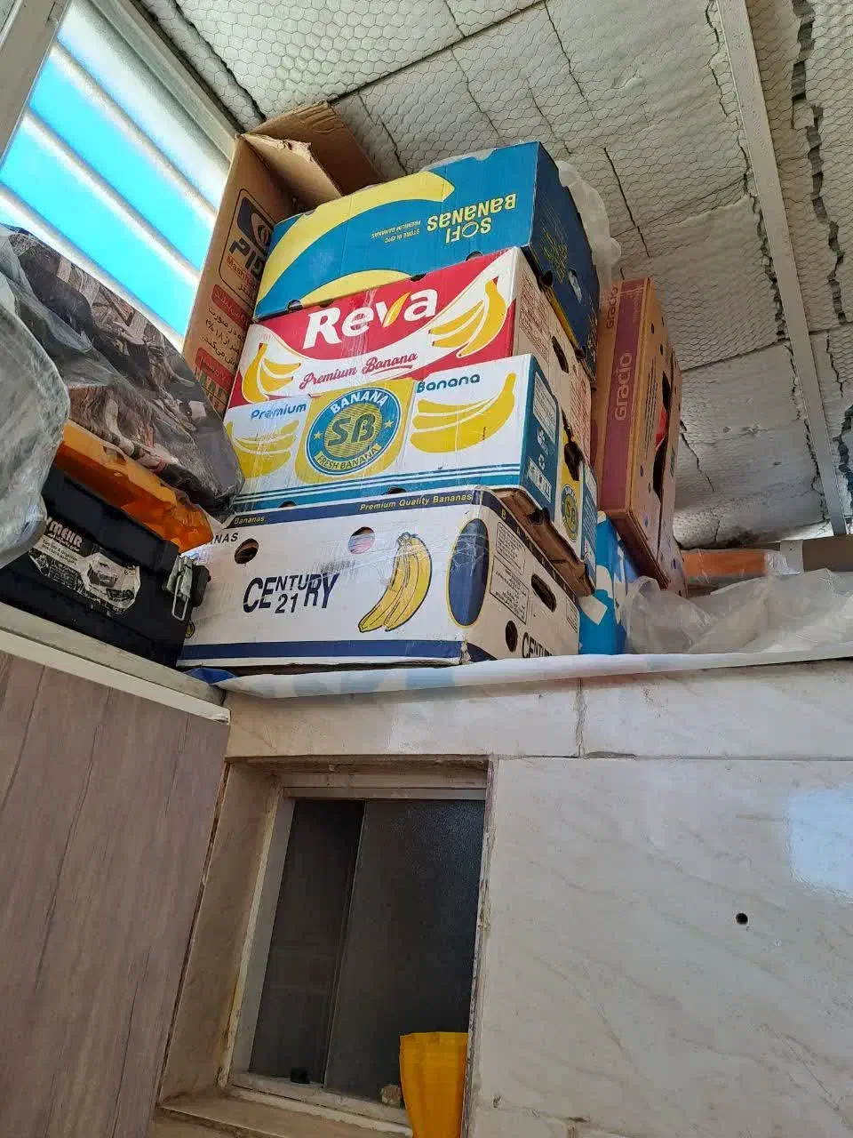 کارتن موزی|حراج|مبارکه, |دیوار