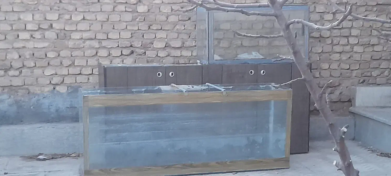 فروش اکواریوم|ماهی|آباده, |دیوار