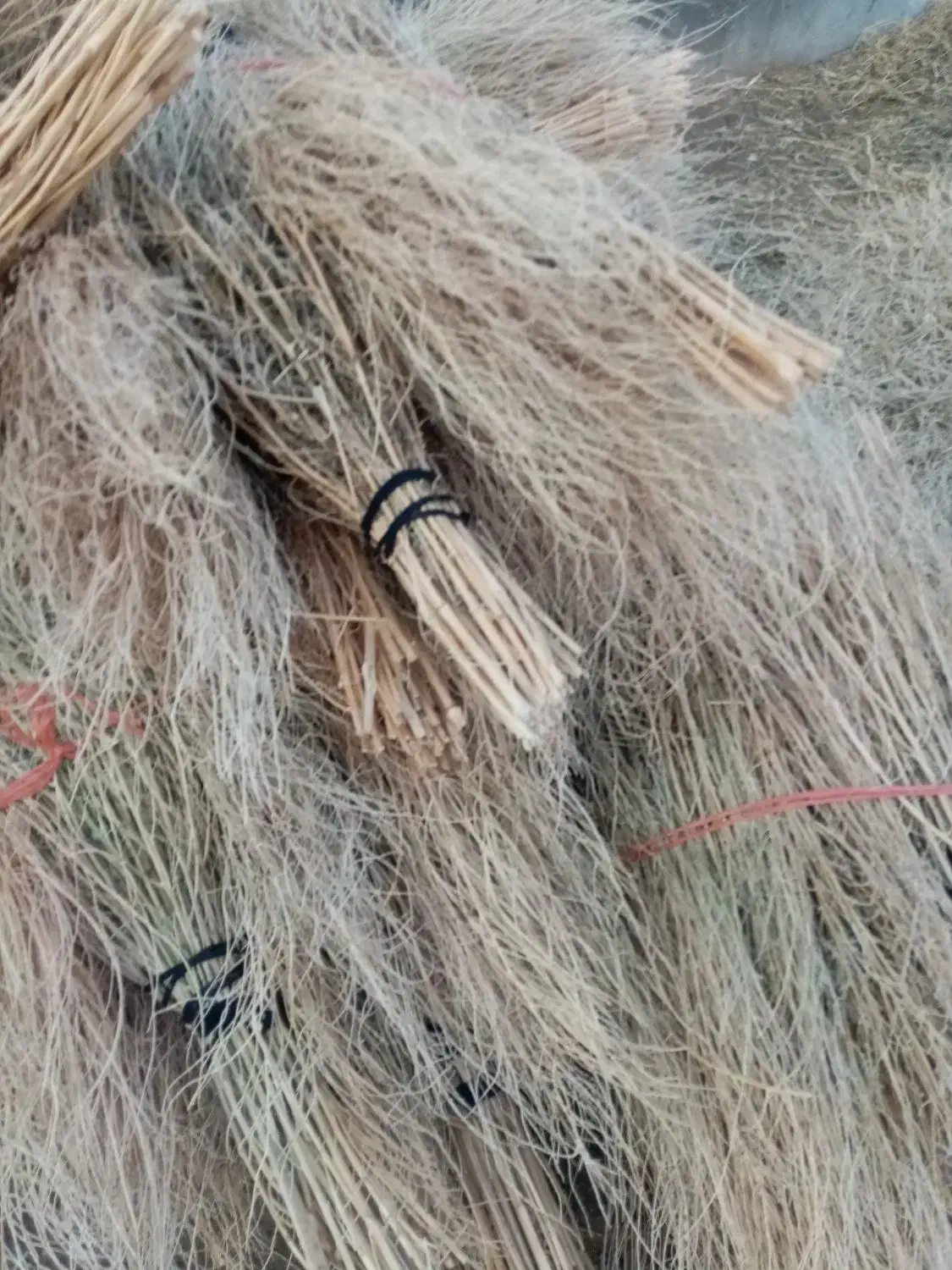 جارو|لوازم نظافت|فیروزآباد (آذربایجان), |دیوار