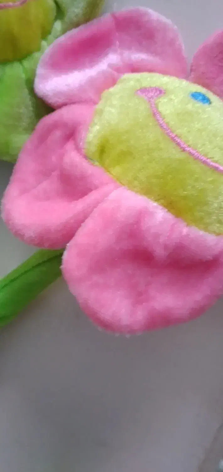 گلهای مخمل|اسباببازی|مشهد, ایثار|دیوار