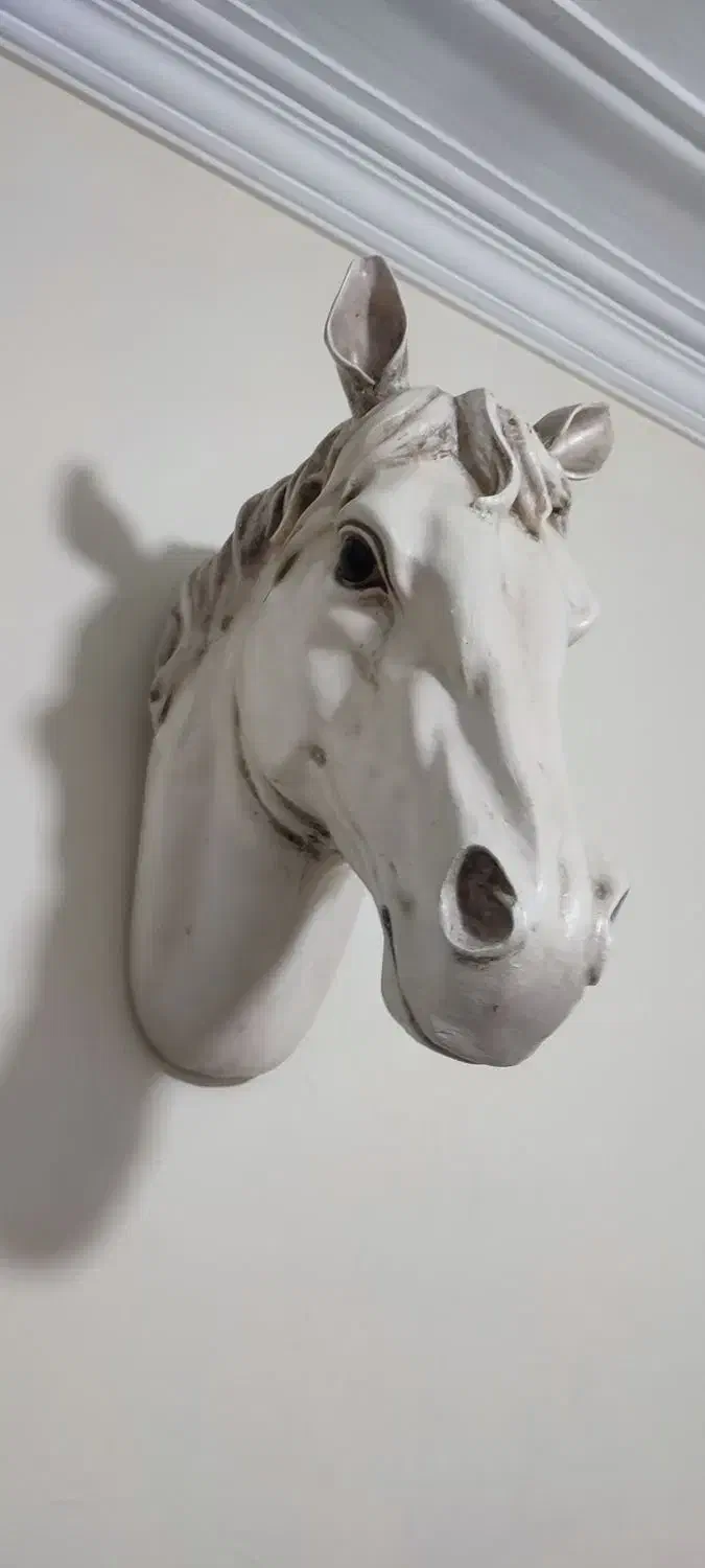 تزئینی|مجسمه، تندیس، ماکت|تهران, اسفندیاری|دیوار