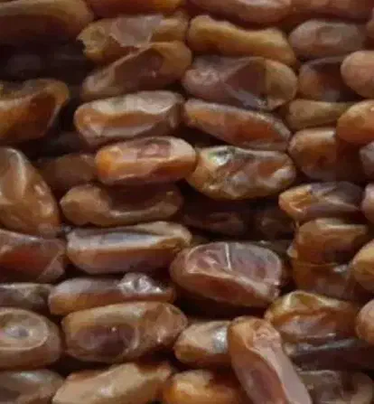 خرمای شاهانی داراب|خوردنی و آشامیدنی|شیراز, احمدی جنوبی|دیوار